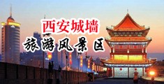 小骚屄被肏屄视频中国陕西-西安城墙旅游风景区